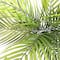 3ft. Potted Green Areca Palm Tree by Ashland&#xAE;